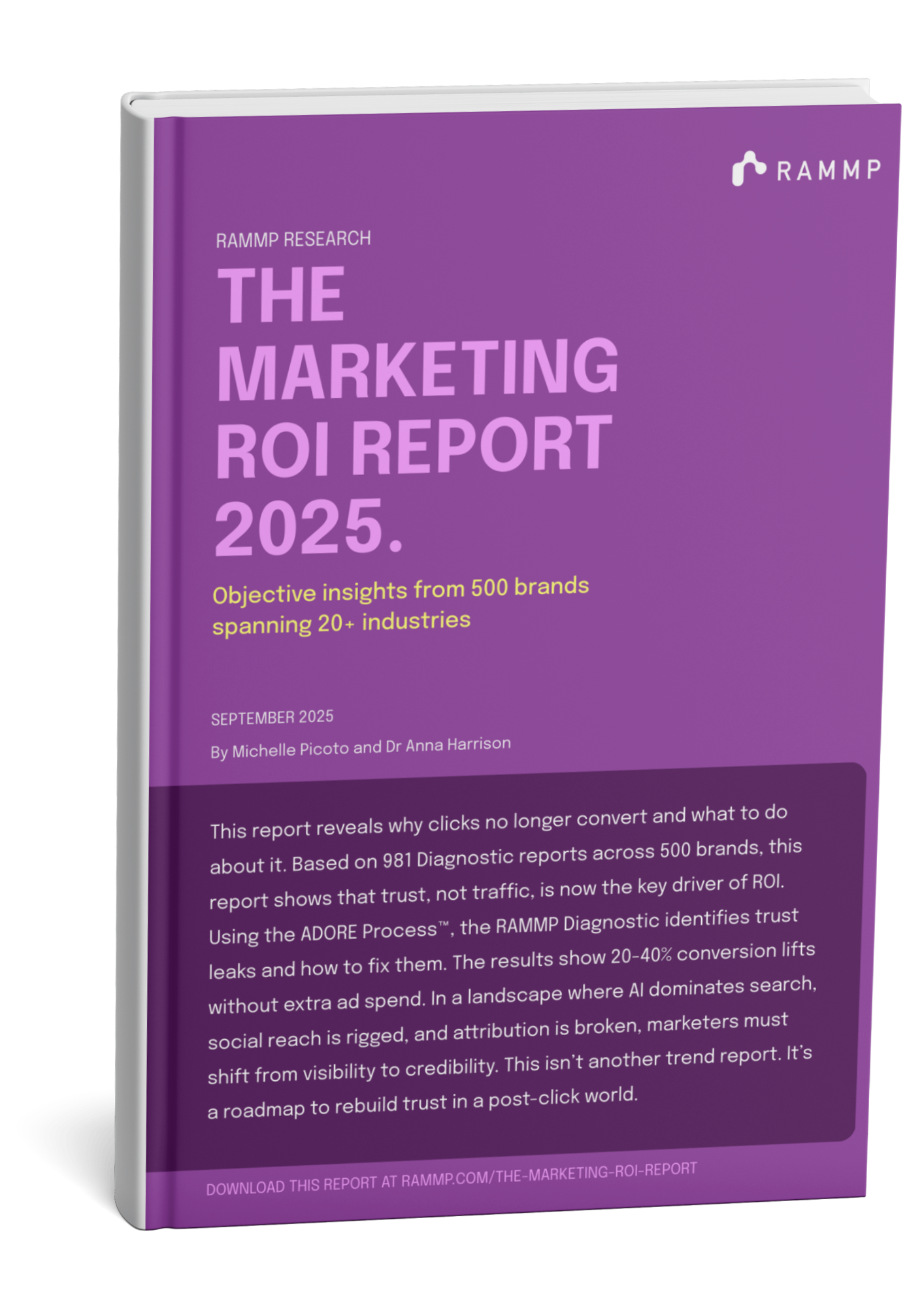 The Marketing ROI Report 2025 — RAMMP Research